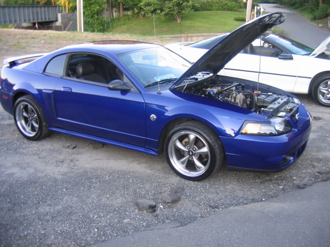 Name: IMG_0550.jpg
Views: 359
Size: 80.0 KB