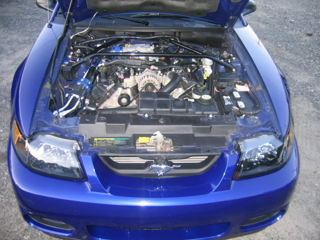 Name: IMG_0551.jpg
Views: 352
Size: 79.2 KB