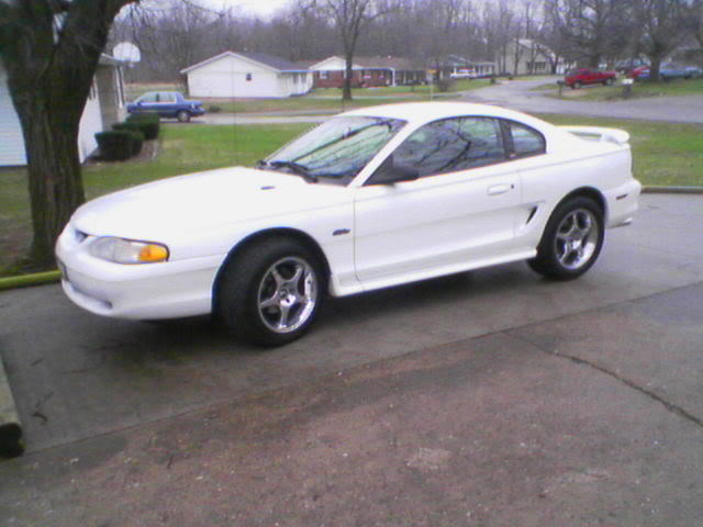 Name:  Mustang.jpg
Views: 32
Size:  40.9 KB