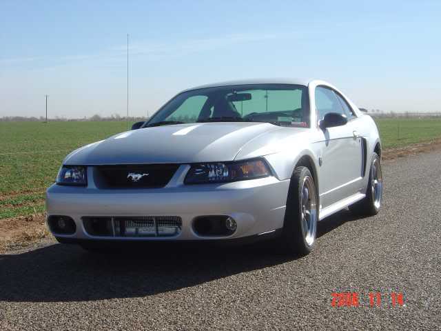 Name:  Mustang001.jpg
Views: 375
Size:  31.9 KB